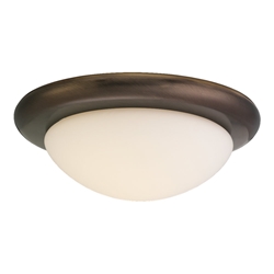Sea Gull Lighting 16148BL-829 Ceiling Fan Light Kit 