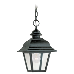 Sea Gull Lighting 6016-12 Outdoor Pendant Light 