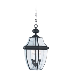 Sea Gull Lighting 6039-12 Outdoor Pendant Light 