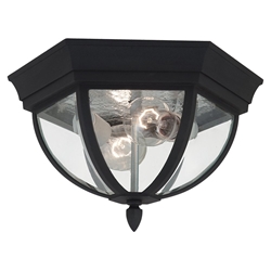 Sea Gull Lighting 78136-12 Outdoor Ceiling Fixture 